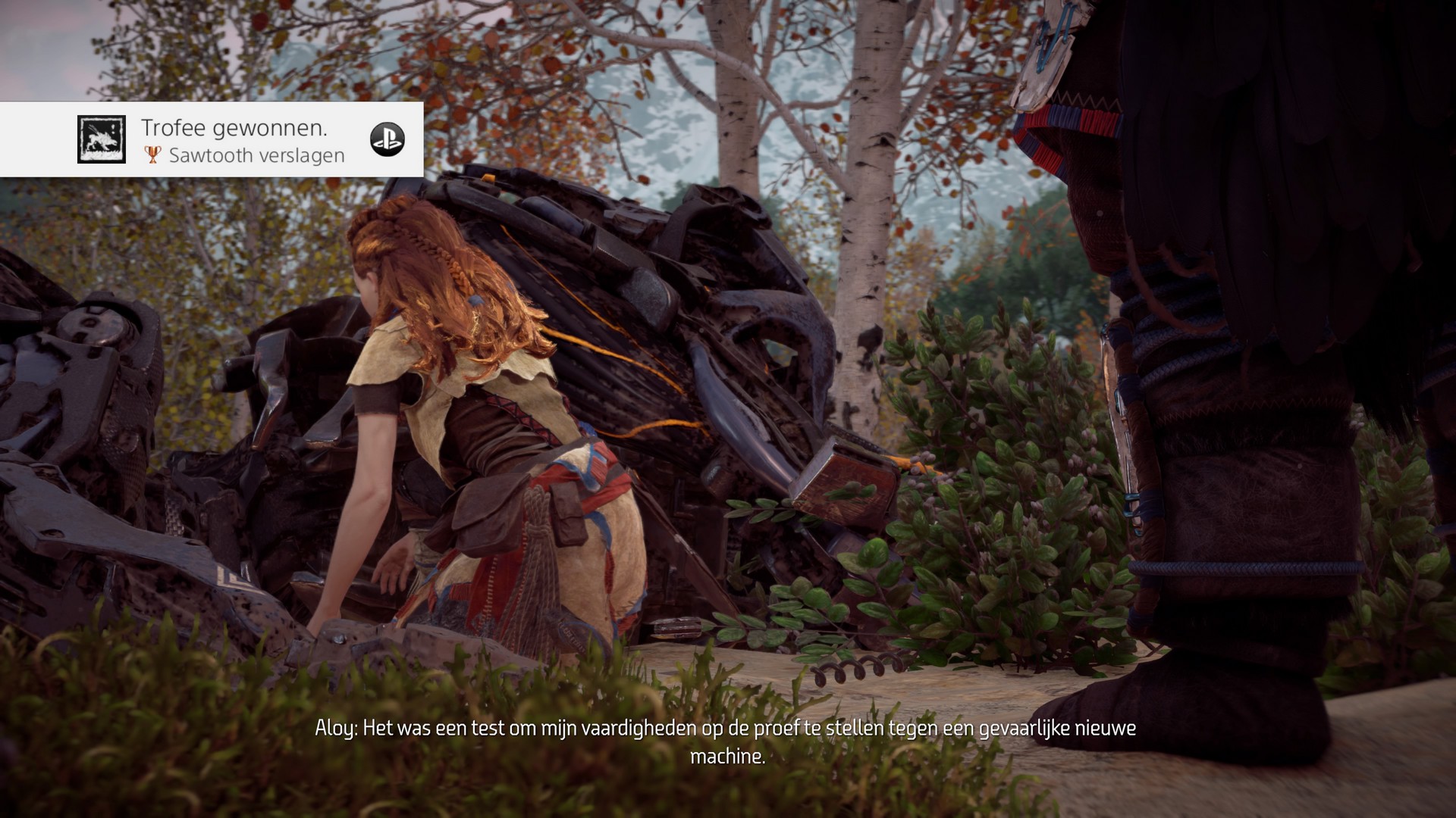 Screenshot from TisWietse